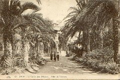 X ORAN LE CERCLE DES OFFICIERS ALLEE DES PALMIERS